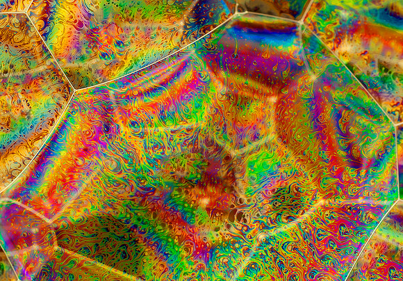 D_IMG_7881Single Cell-1600